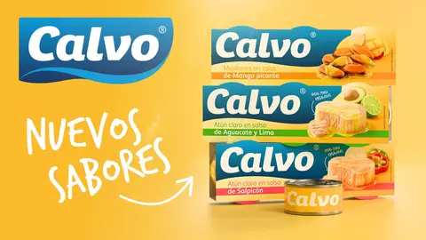 CALVO KV Ed Verano