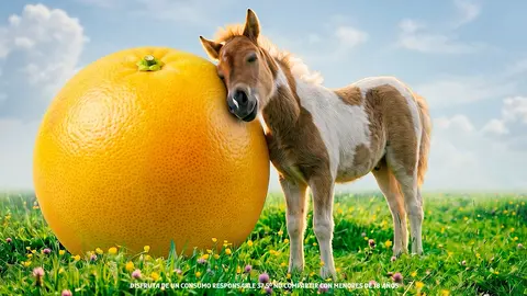spot Pomelo