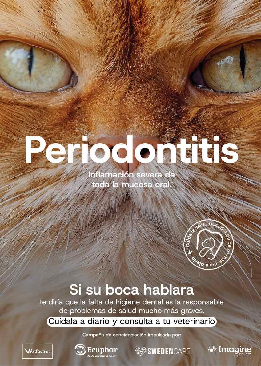 Si su boca hablara 2